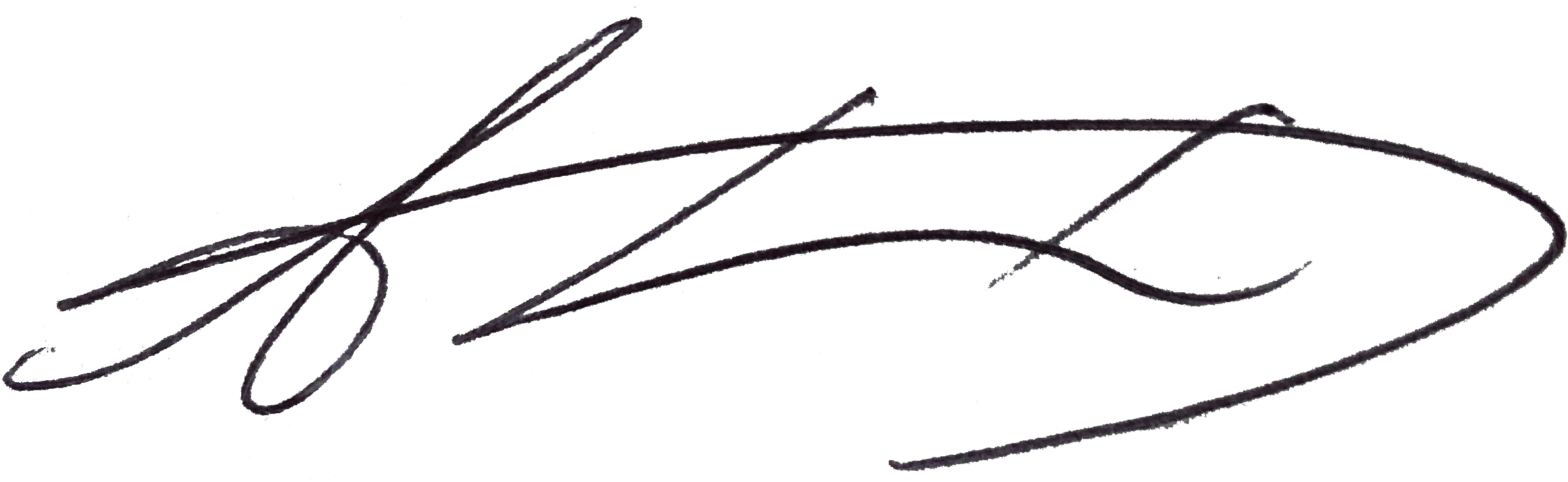 CEO signature